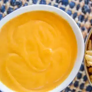 bowl of sauce with fries on the side