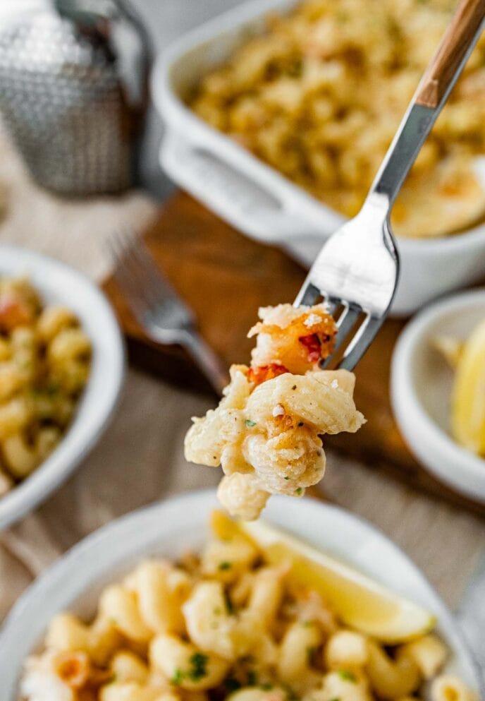 Lobster Mac and Cheese on a fork