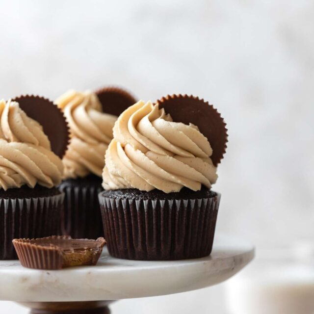 Chocolate Peanut Butter Cupcakes with frosting