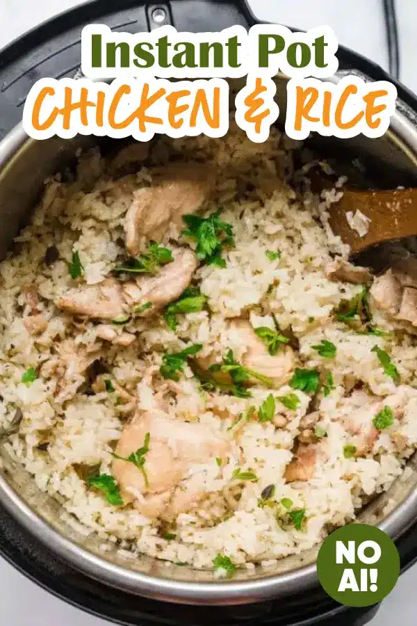 chicken and rice pin