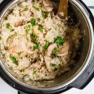 top down view of chicken and rice