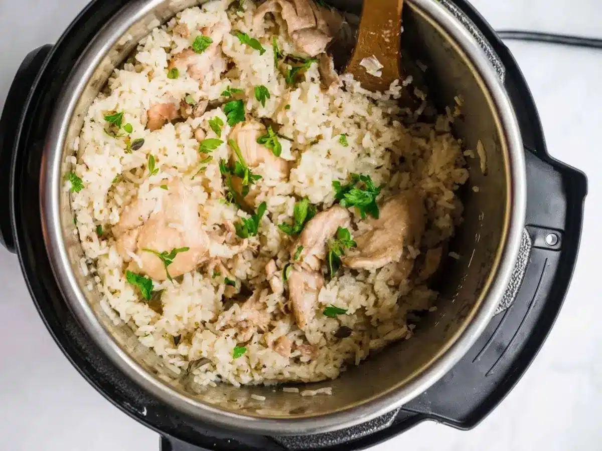 top down view of chicken and rice