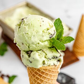 Mint Chocolate Chip Ice Cream two scoops in a sugar cone