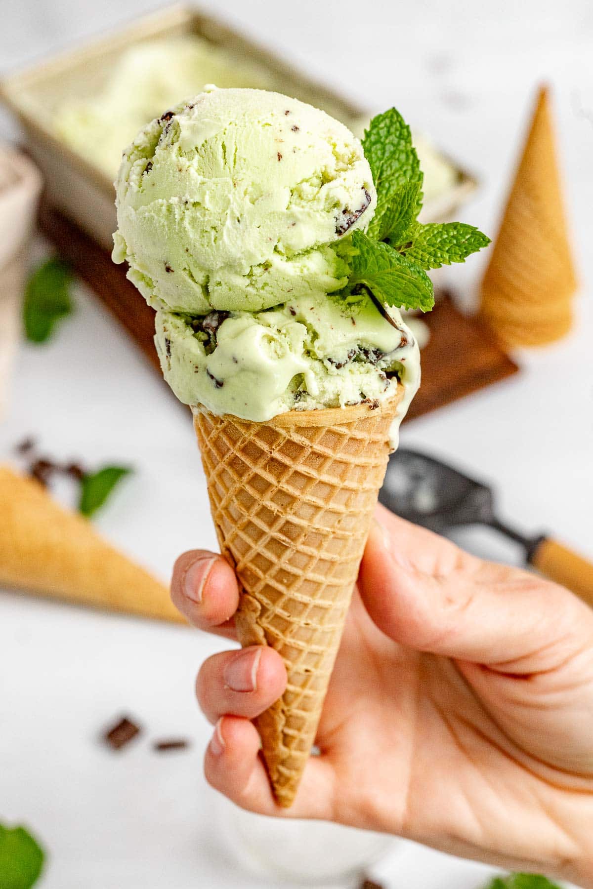 Mint Chocolate Chip Ice Cream two scoops in a sugar cone in hand