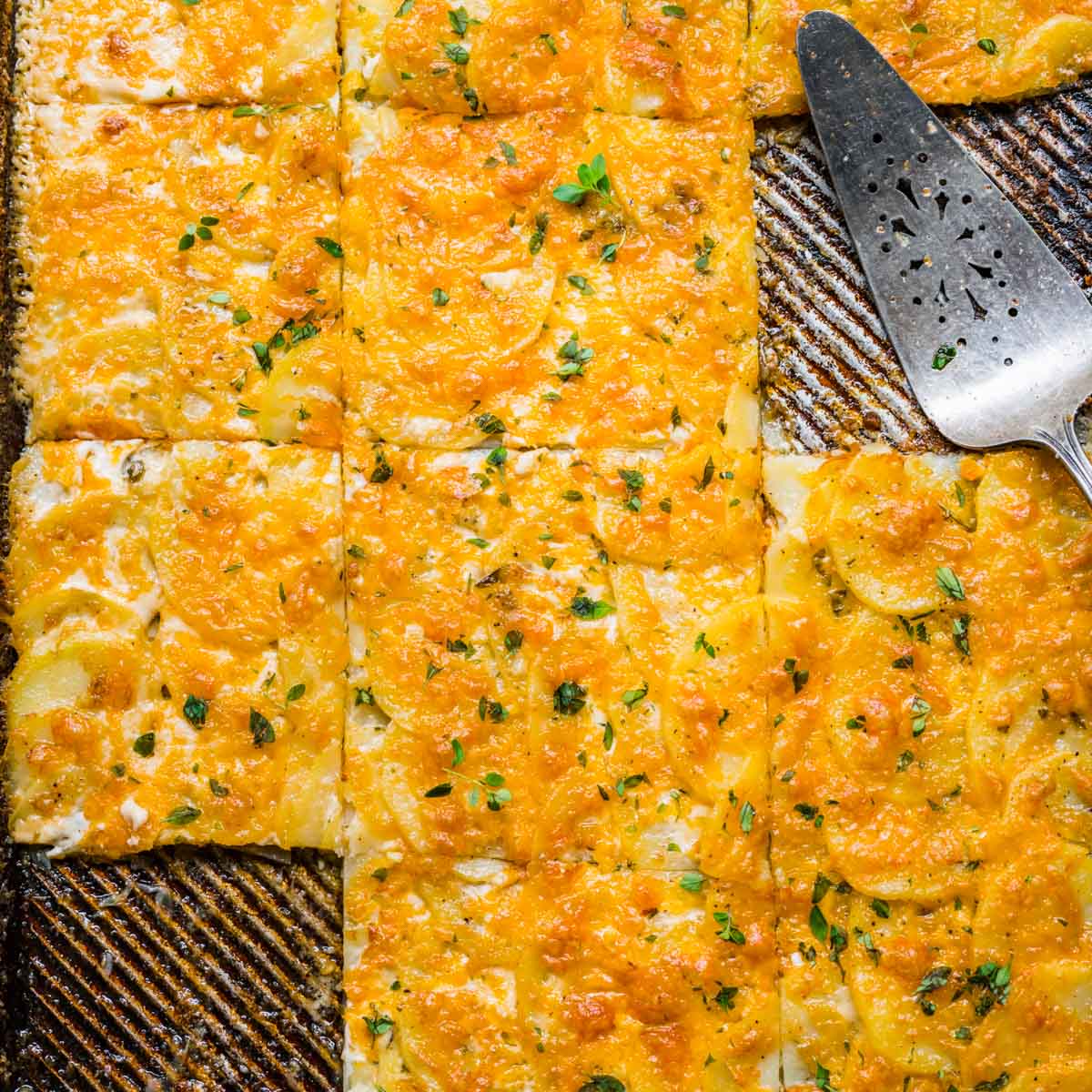 Sheet Pan Scalloped Potatoes finished on sheet pan with slices removed and server