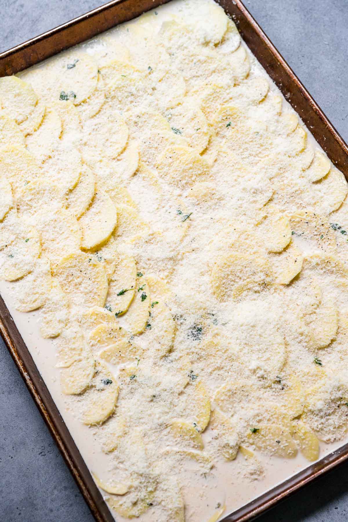 Sheet Pan Scalloped Potatoes sliced potatoes and cream mixture on sheet pan