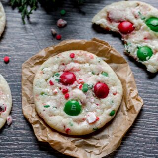 Christmas Cookies closeup of cookie 1x1