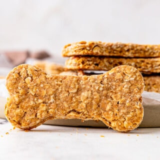 Close up of bone shaped dog treat.