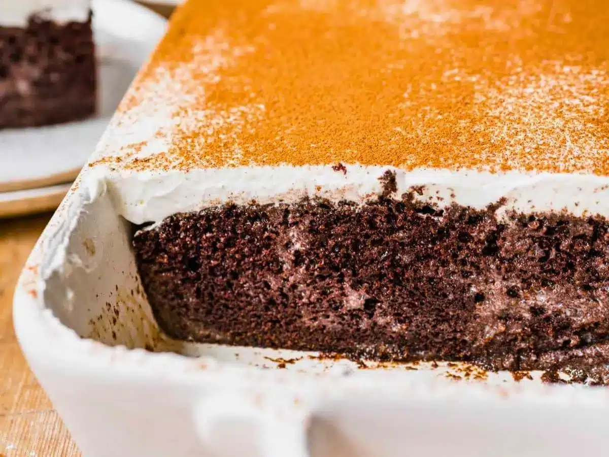 Chocolate cake in pan