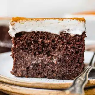 Cross section of chocolate cake on plate with fork