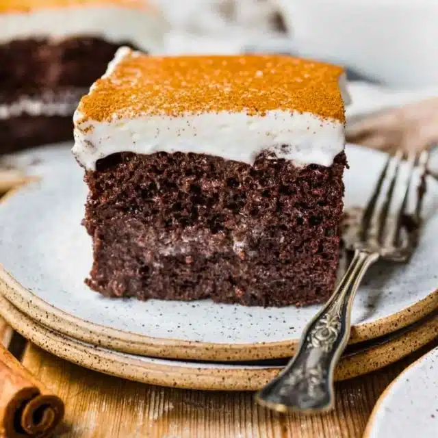 Slice of chocolate cake on plate with fork