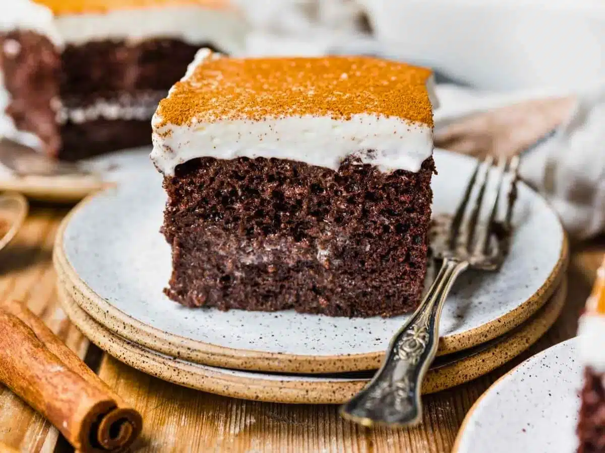 Slice of chocolate cake on plate with fork