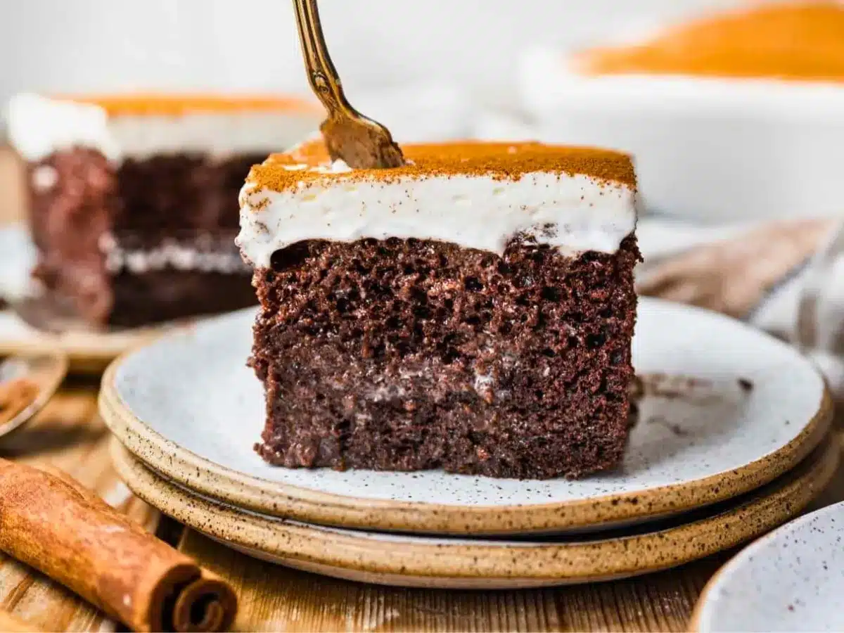 Slice of chocolate cake with fork on top