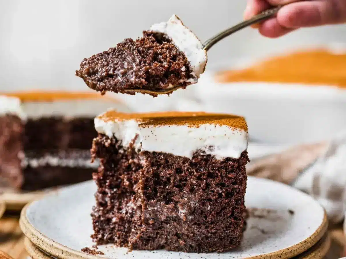 Chocolate cake with bite taken out with fork