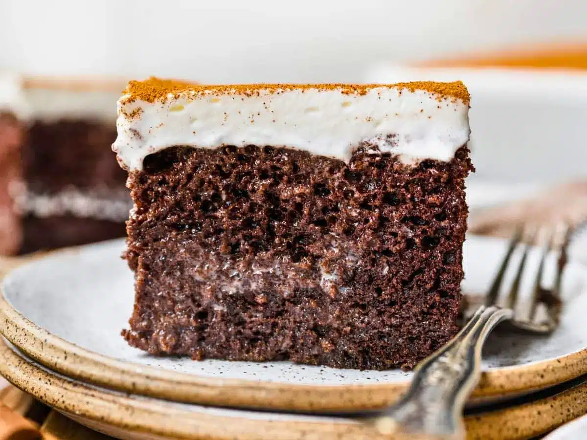 Cross section of chocolate cake on plate with fork