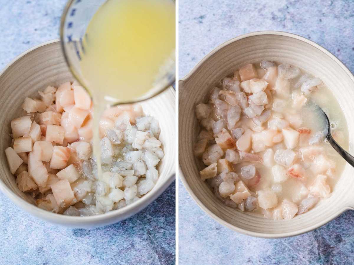Ceviche collage