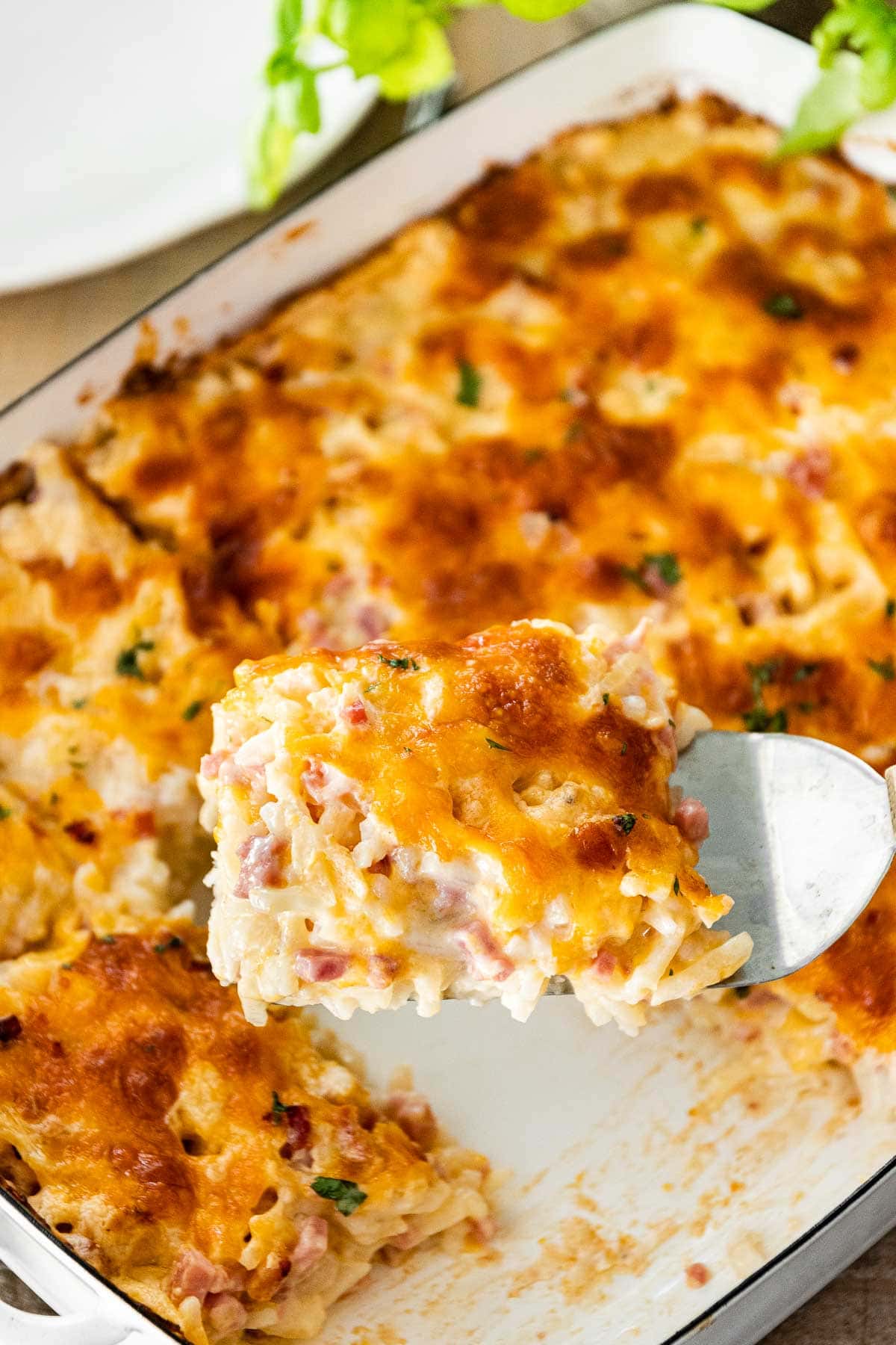 Cheesy Ham and Hash Brown Casserole in casserole dish with scoop closeup