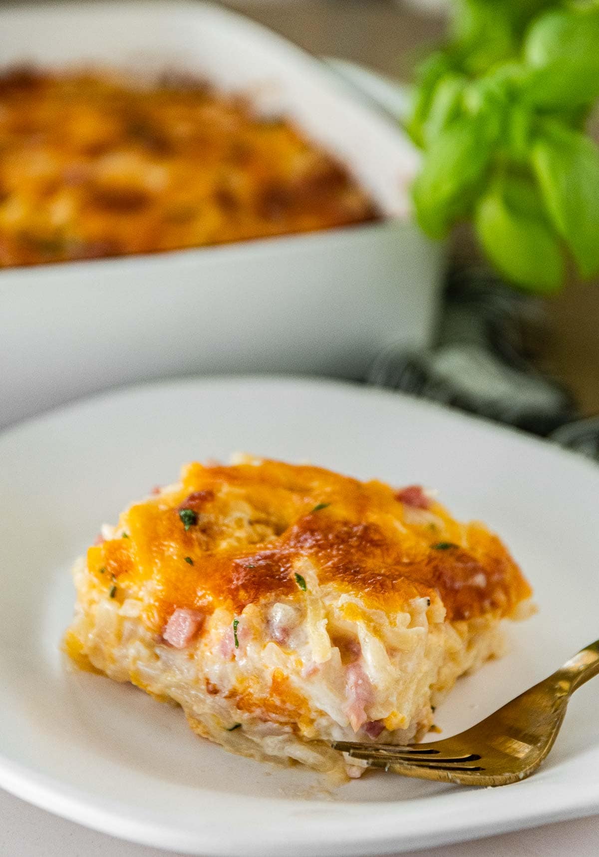 Cheesy Ham and Hash Brown Casserole on serving plate