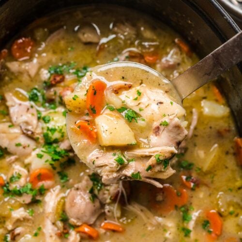 Classic Chicken Stew closeup in ladle 1x1