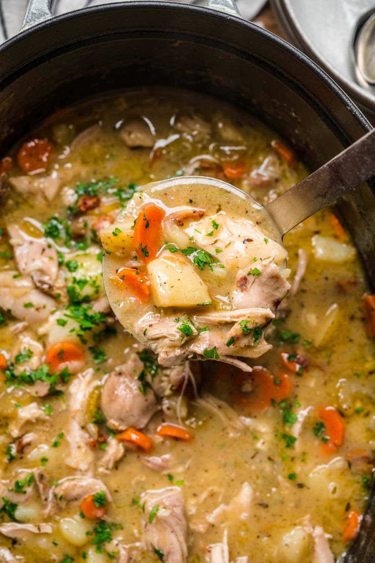 Classic Chicken Stew closeup in ladle