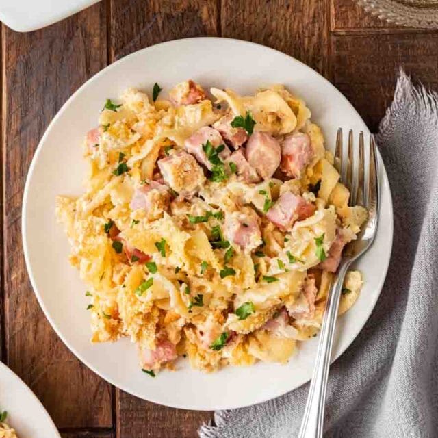 Noodle casserole on a plate.