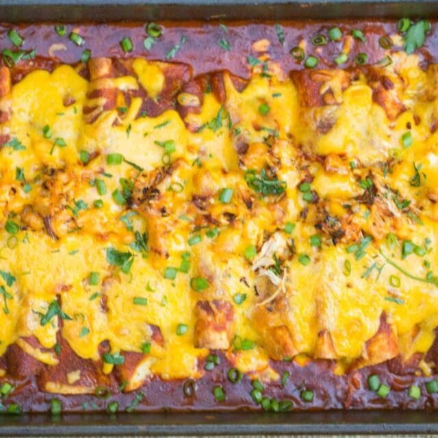 baked enchiladas in pan, zoomed out to see whole pan.
