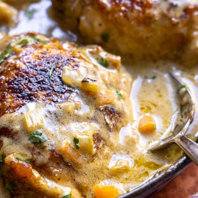 Chicken Fricassee close up of cooked chicken in sauce