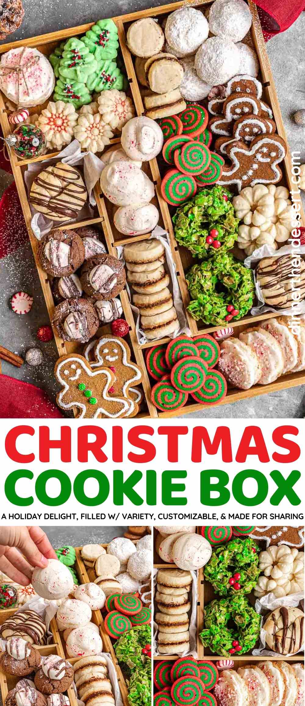 Christmas Containers for Holiday Cookies Candy and Treats with