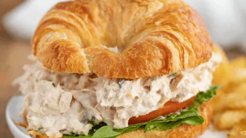 Tuna salad on a croissant with lettuce and tomato on a white plate