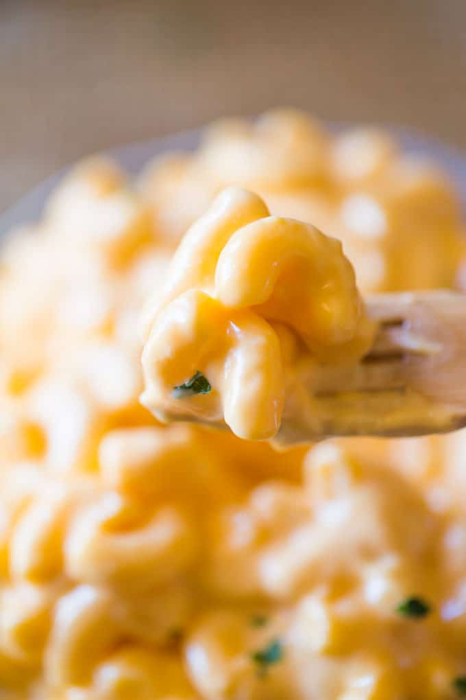 close up view of mac