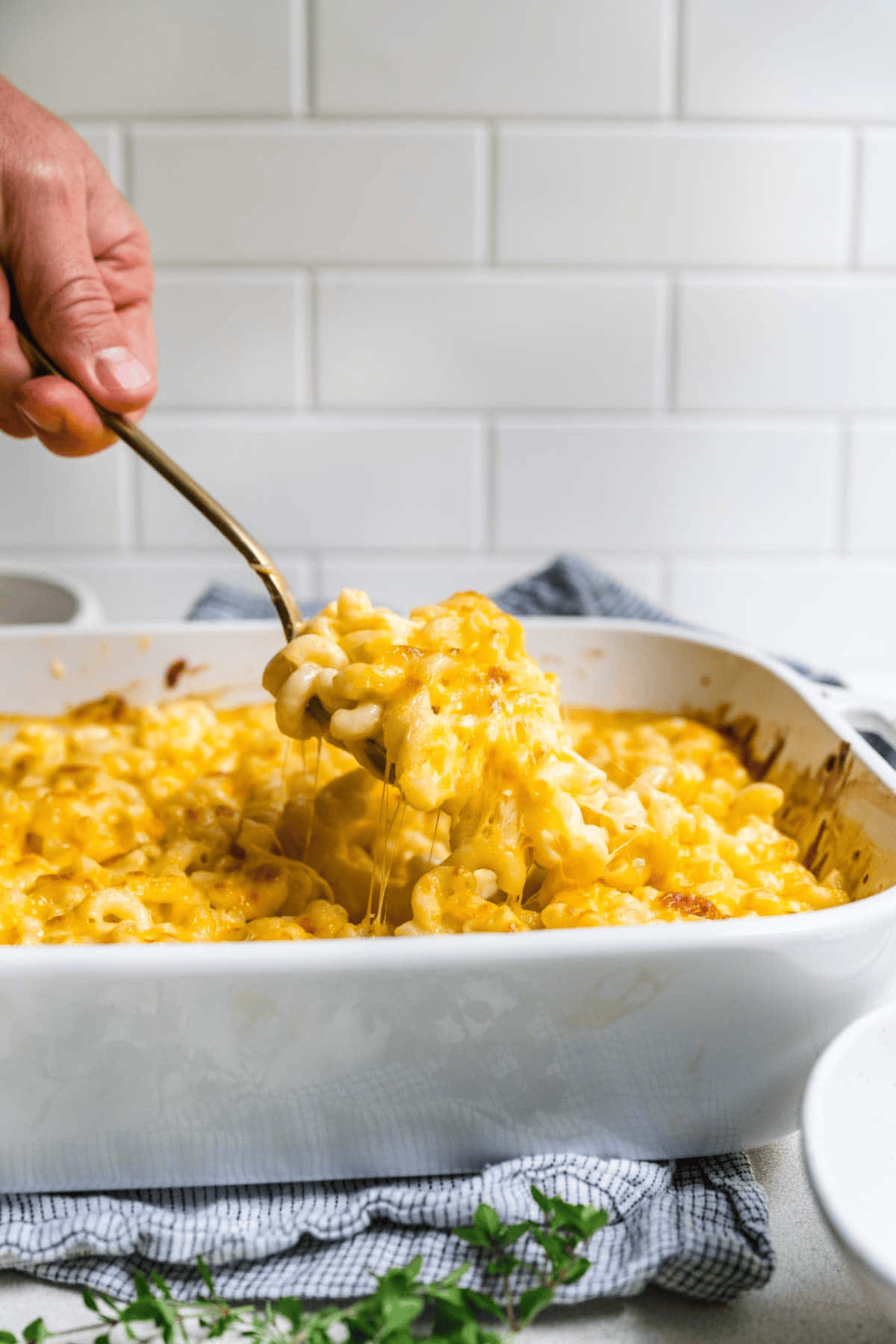Serving mac and cheese with melty cheese coming off the fork