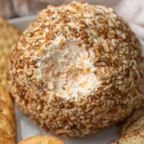 Cheese on a platter with crackers.