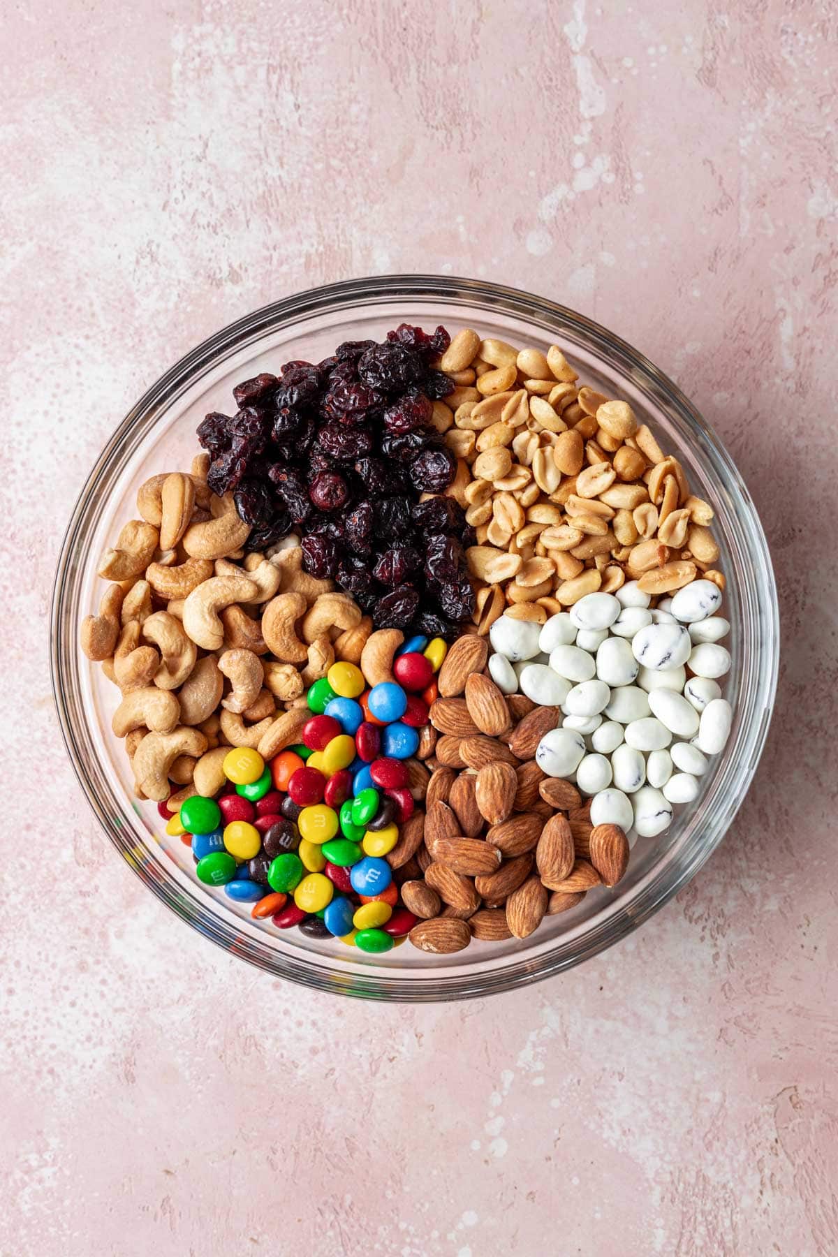 Classic Trail Mix ingredients segmented in one large bowl, top down view