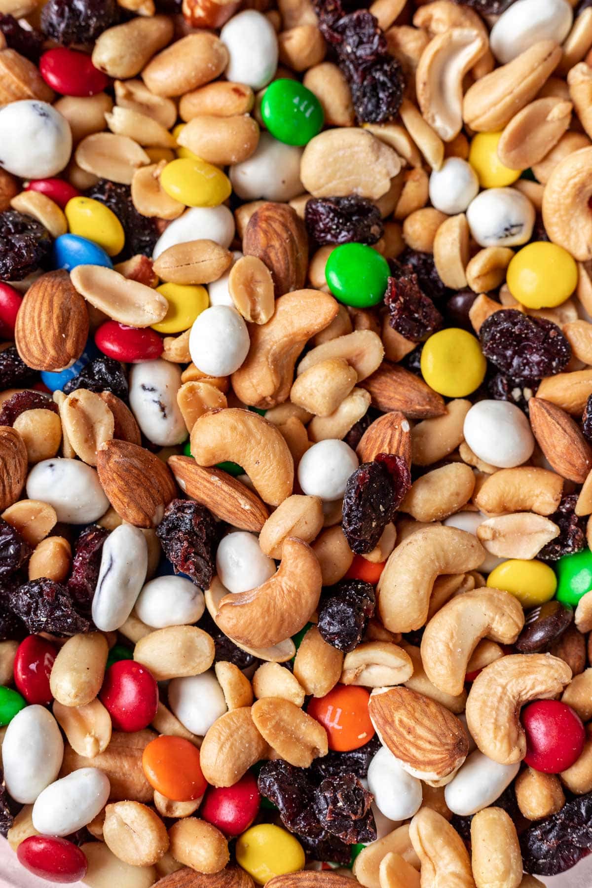 Classic Trail Mix close up of mixed ingredients
