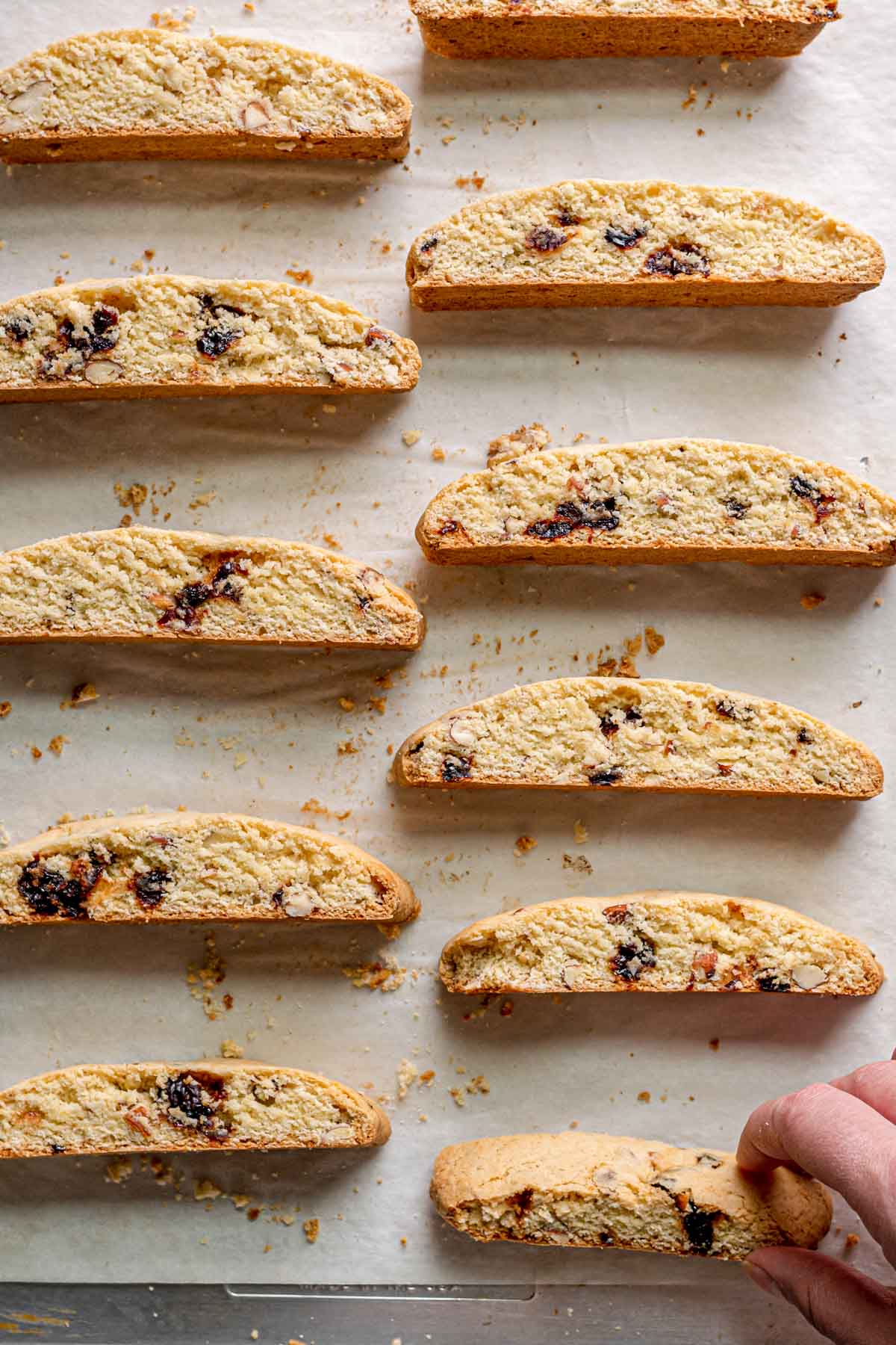 Cherry Almond Biscotti cookies on baking sheet