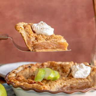 Slice of pie on a pie server.