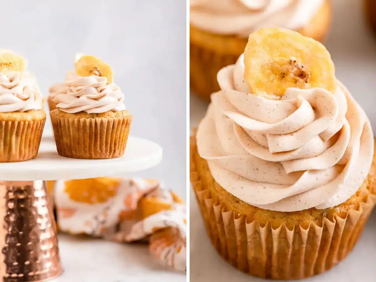 collage of cupcakes on display and single cupcake 