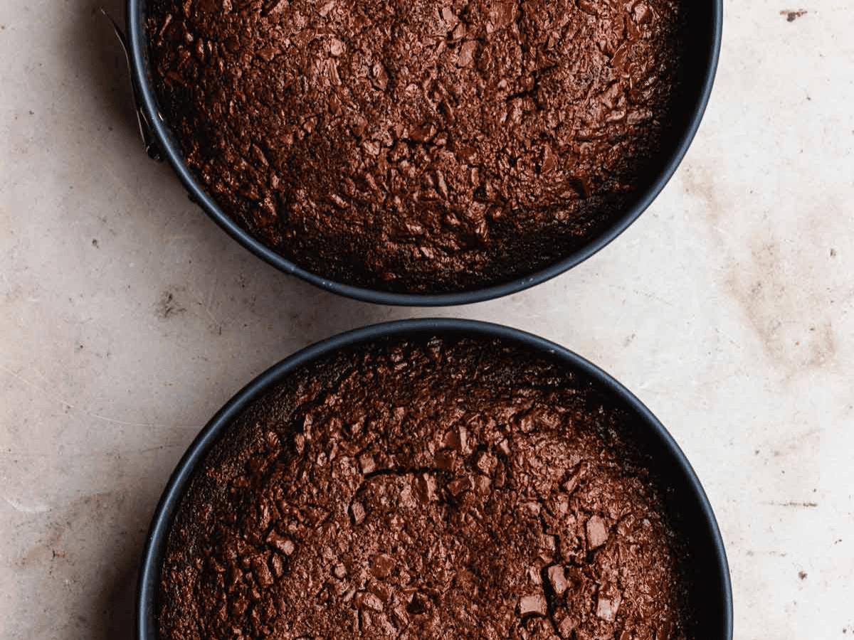 Baked cakes inside of round pans.