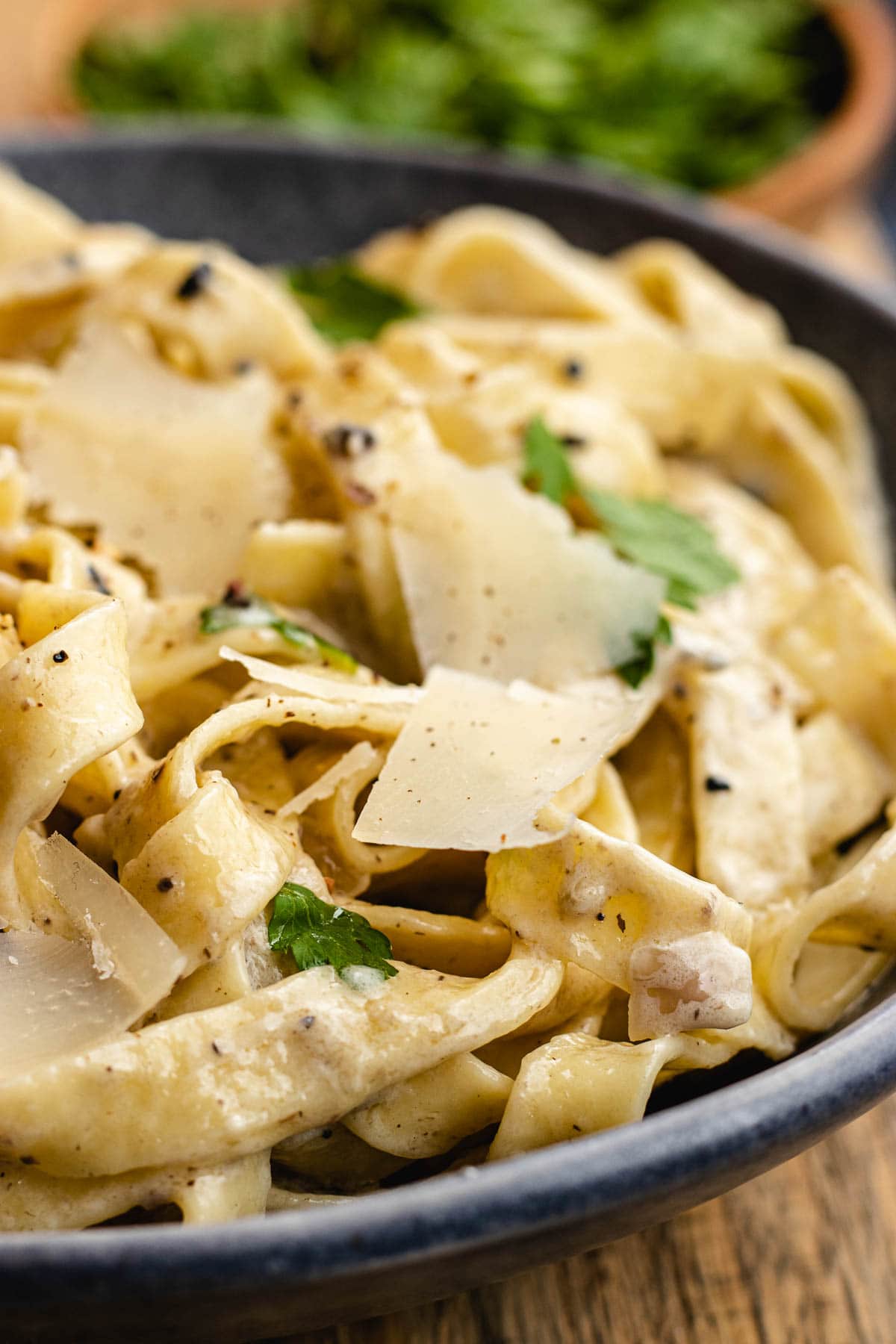 Truffle Pasta finished pasta and sauce in bowl