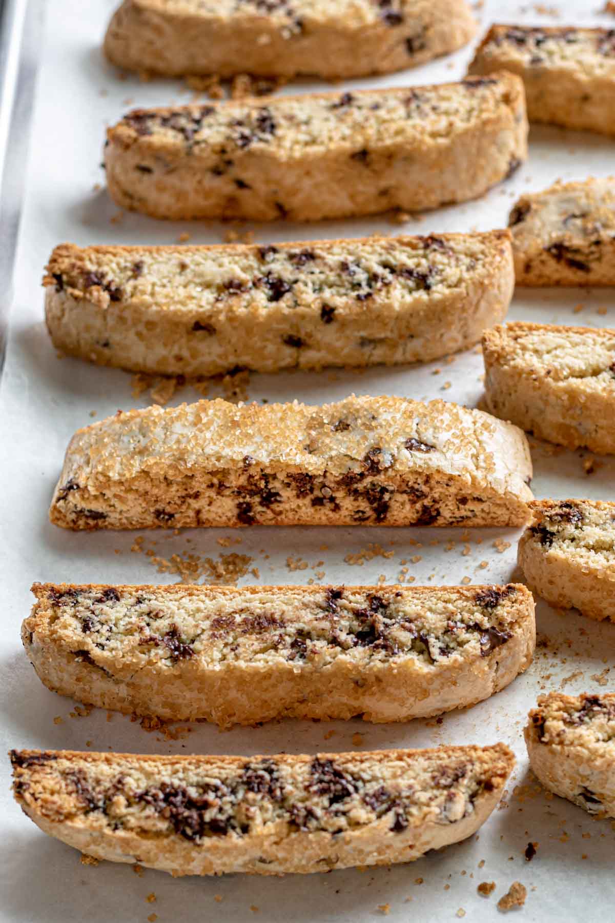 Chocolate Chip Biscotti cookies baked and lined up in a row with space in between on baking sheet