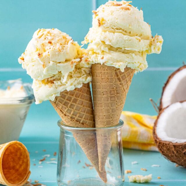 Coconut Ice Cream in cone