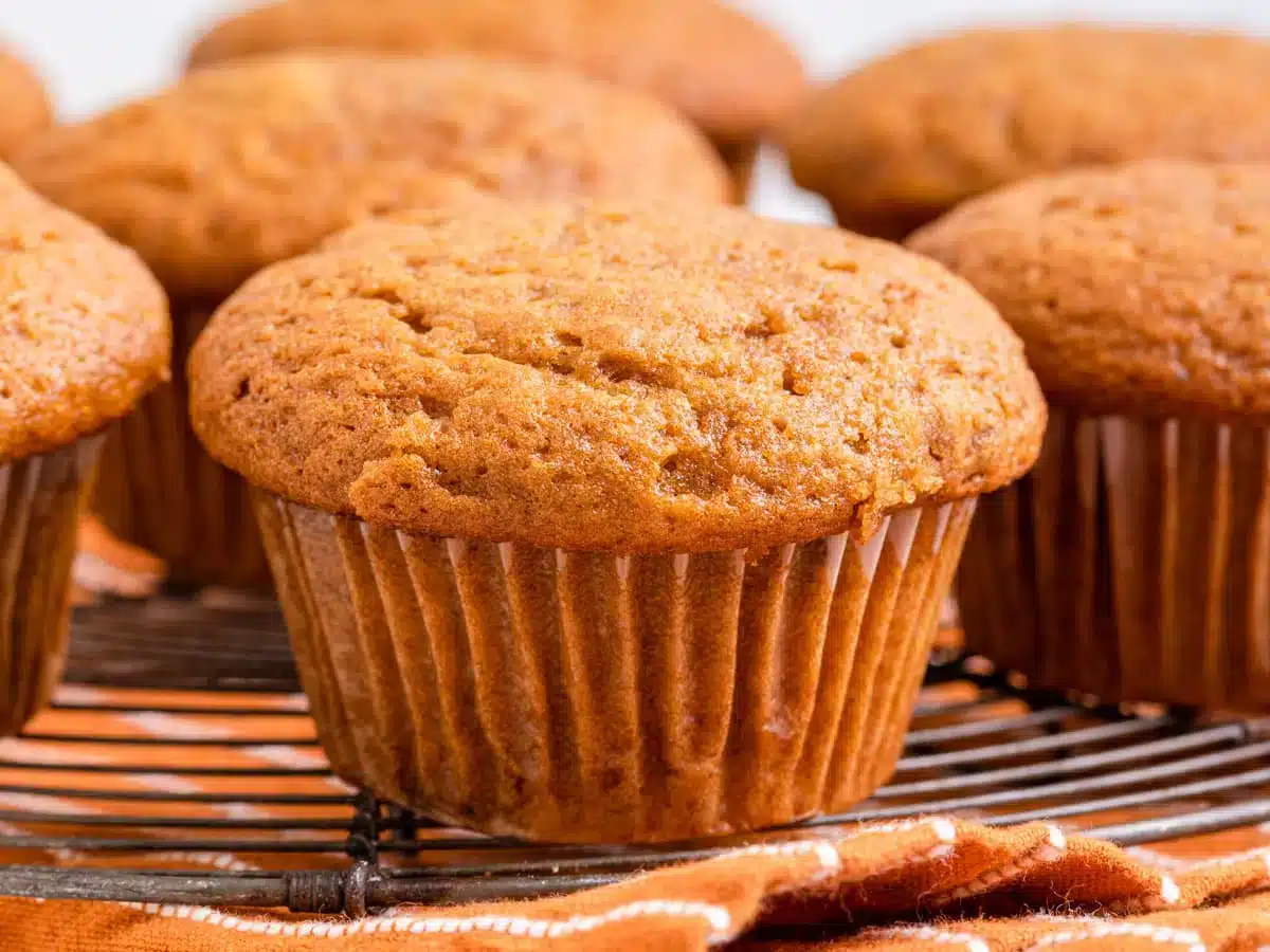 close up of single muffin
