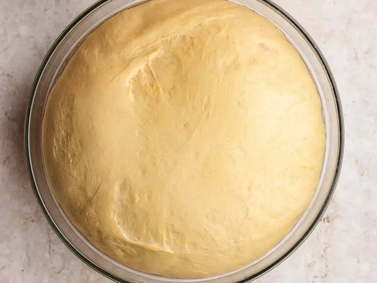 Risen dough in bowl.