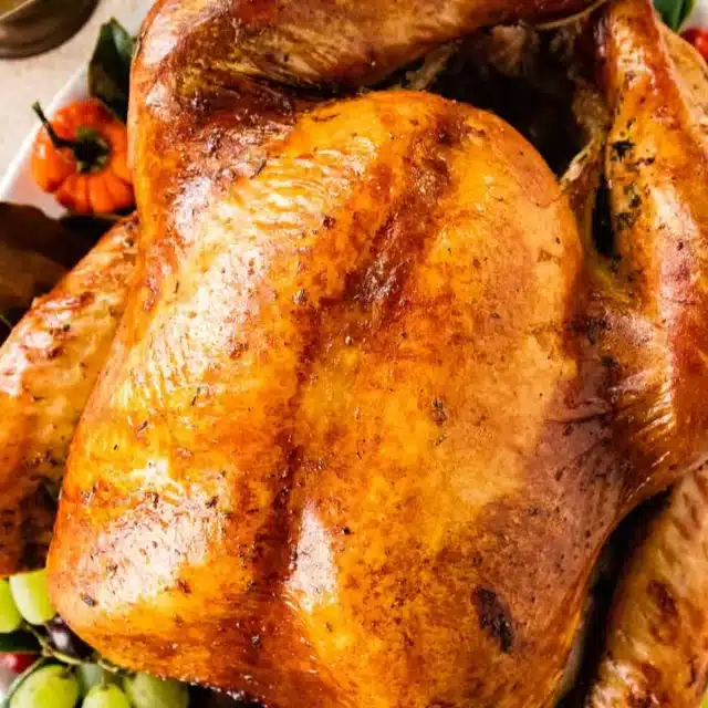 Whole turkey glazed with butter on a bed of vegetables