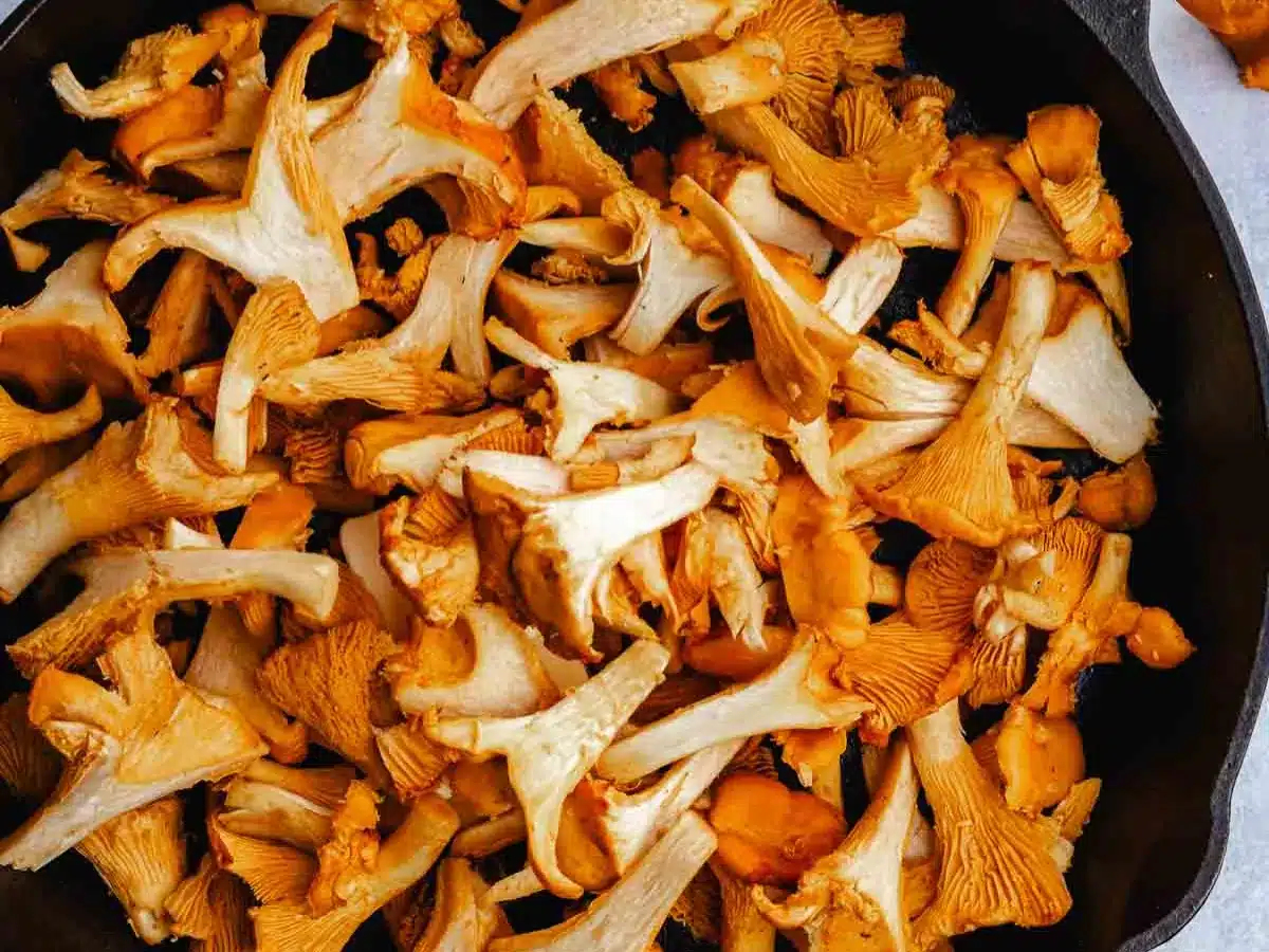 Sliced wild mushroom in pan.