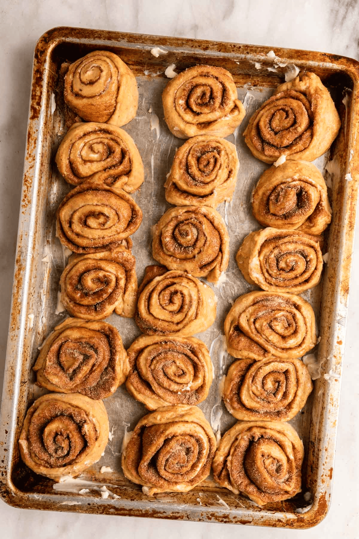 Unbaked rolls on a baking pan
