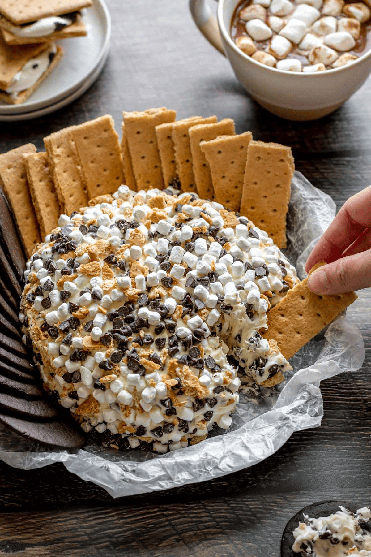 S'mores dip with hot chocolate in the background