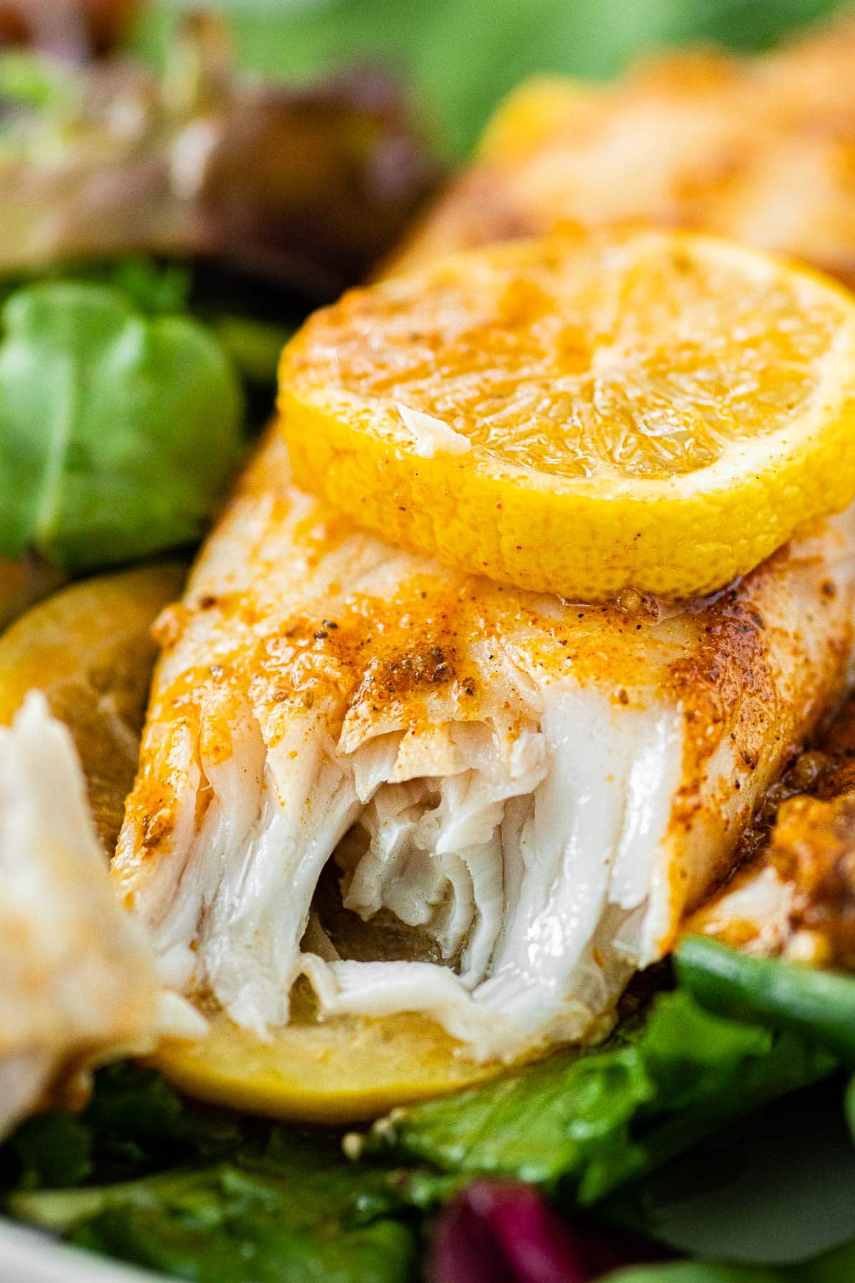 fish with lemon on top 