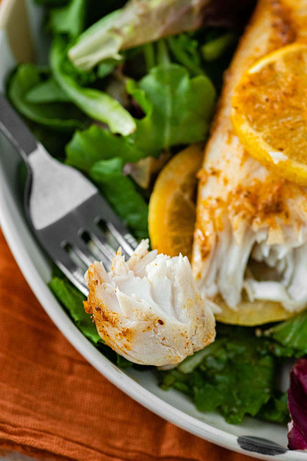 close up of bite of fish 