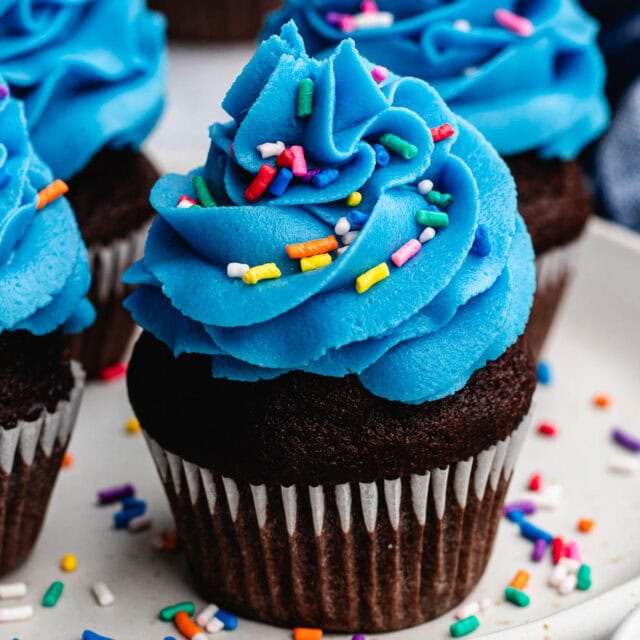 Frosted and sprinkled cupcake.